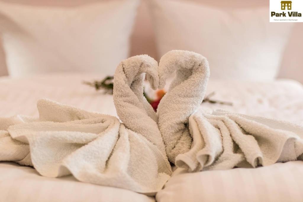 Park Villa Apartments バート・キッシンゲン 部屋 写真