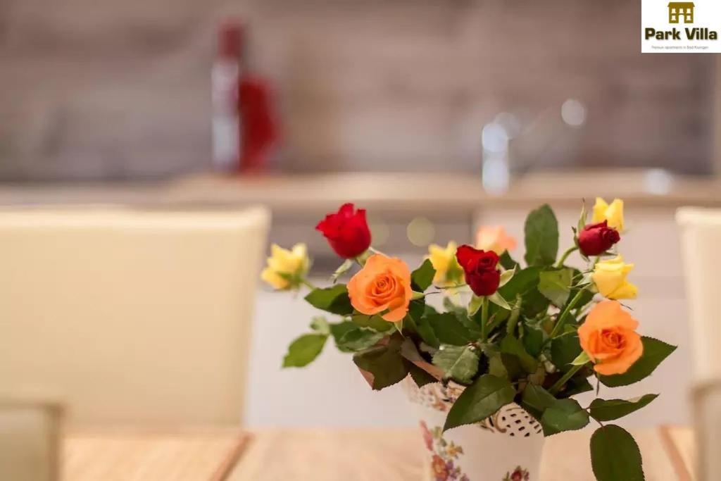 Park Villa Apartments バート・キッシンゲン 部屋 写真