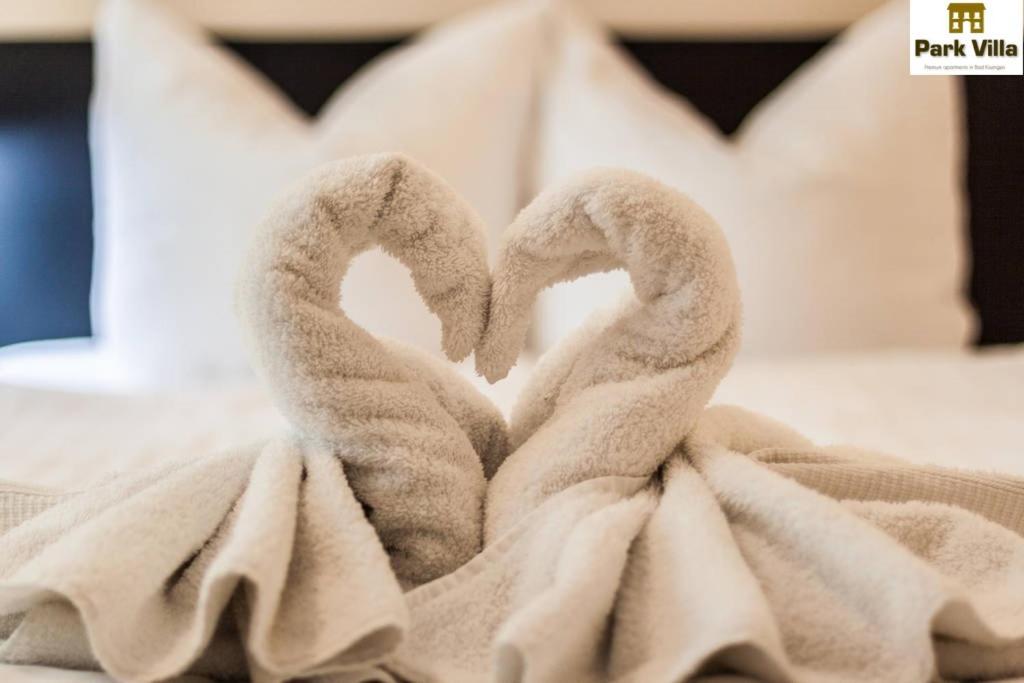 Park Villa Apartments バート・キッシンゲン 部屋 写真